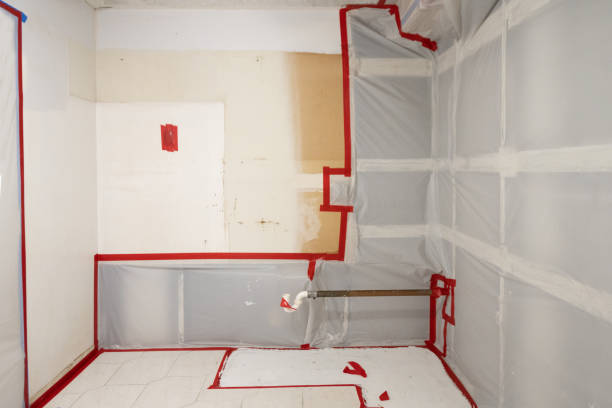 Little Elm, TX Mold Removal Company