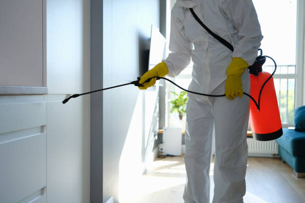 Asbestos and Lead Testing During Mold Inspection in Little Elm, TX